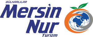 Firma resmi